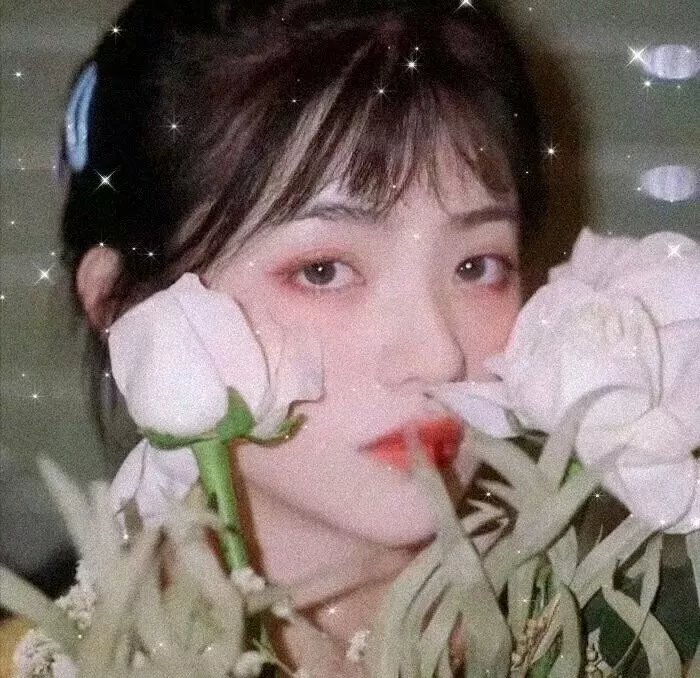 狗狗与你的故事